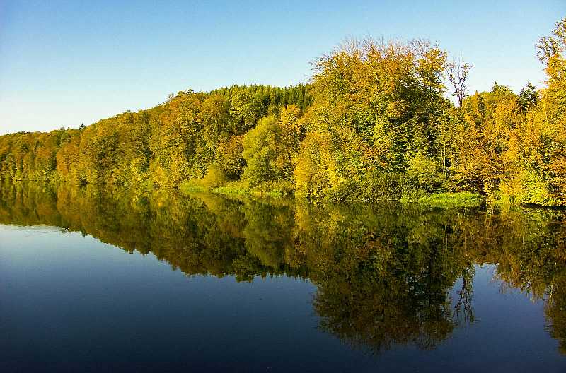 Herbstwald am Flachsee