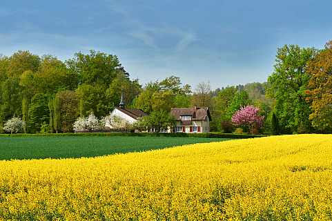 Ansicht von Norden her an die Apsiss der Kapelle mit Wohnhaus