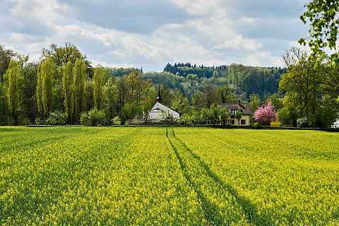 Die Emaus-Kapelle im Frühling. Ansicht von Osten her.